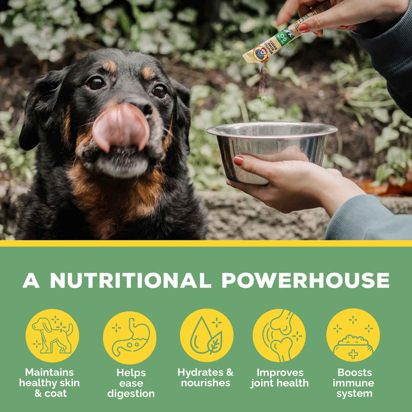 Dog next to a bowl with a person pouring Brutus Broth powder into the bowl, set against a natural background.