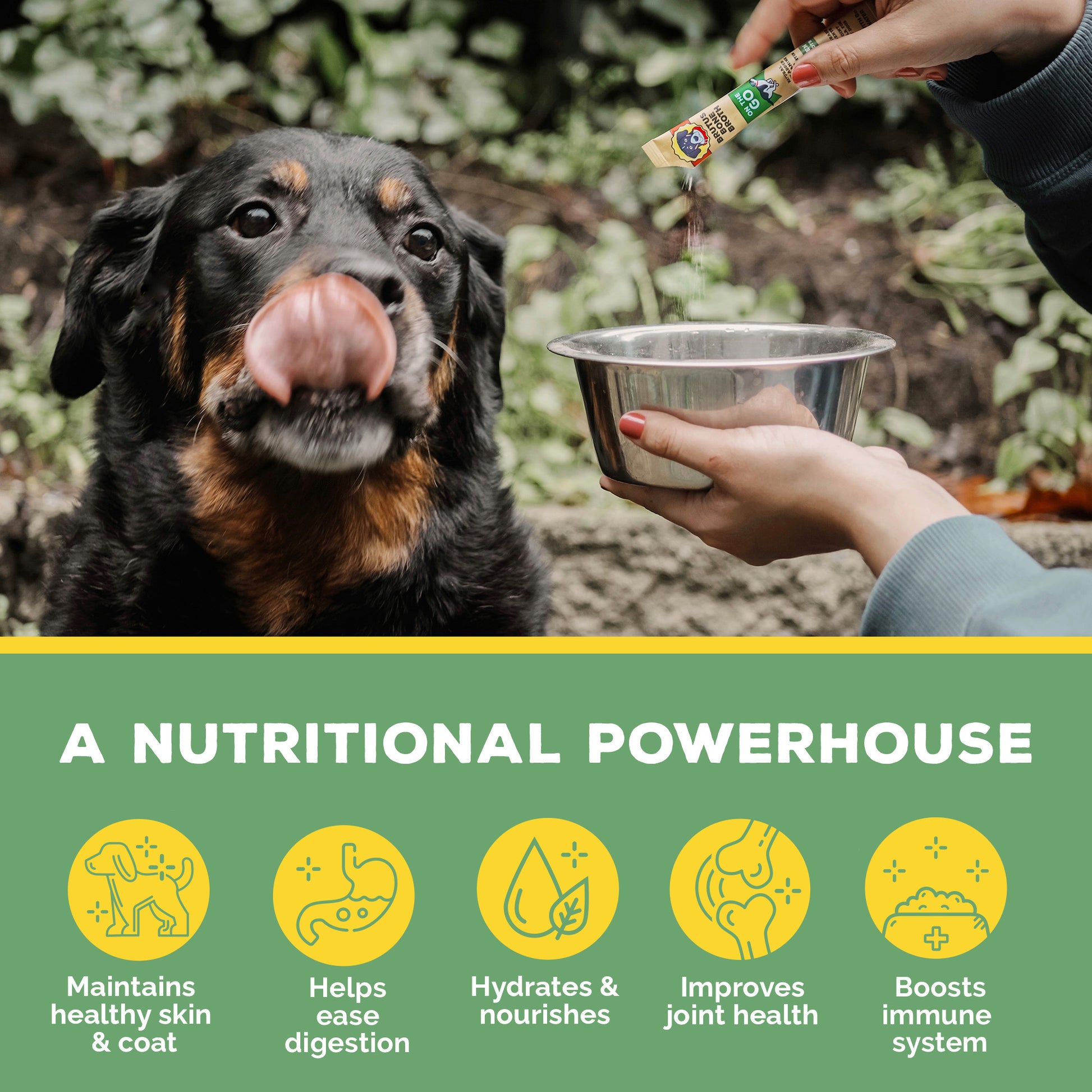 Dog next to a bowl with a person pouring Brutus Broth powder into the bowl, set against a natural background.