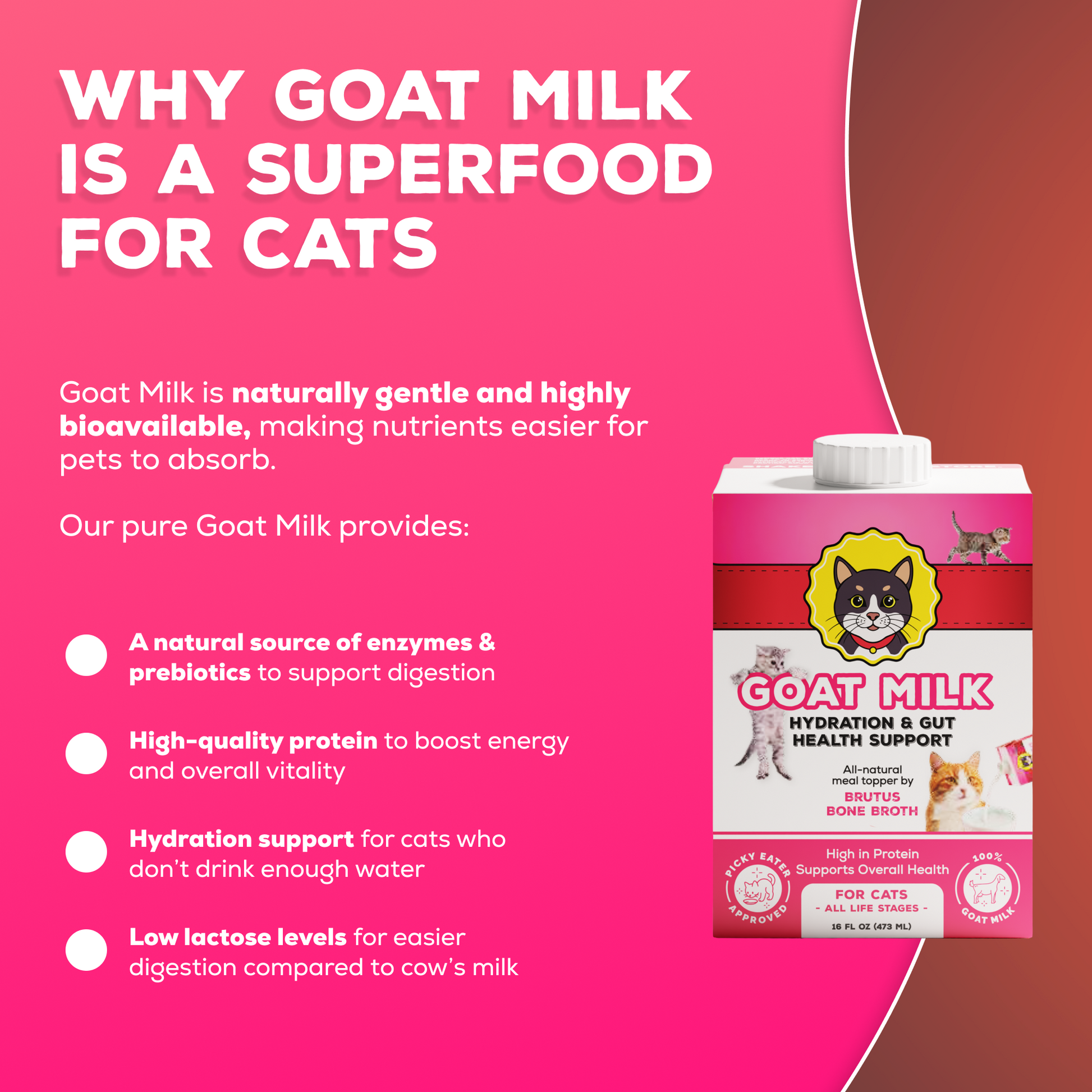 Infographic showing goat milk benefits for cats: gentle, bioavailable, aids digestion, high-protein, hydrates, low lactose