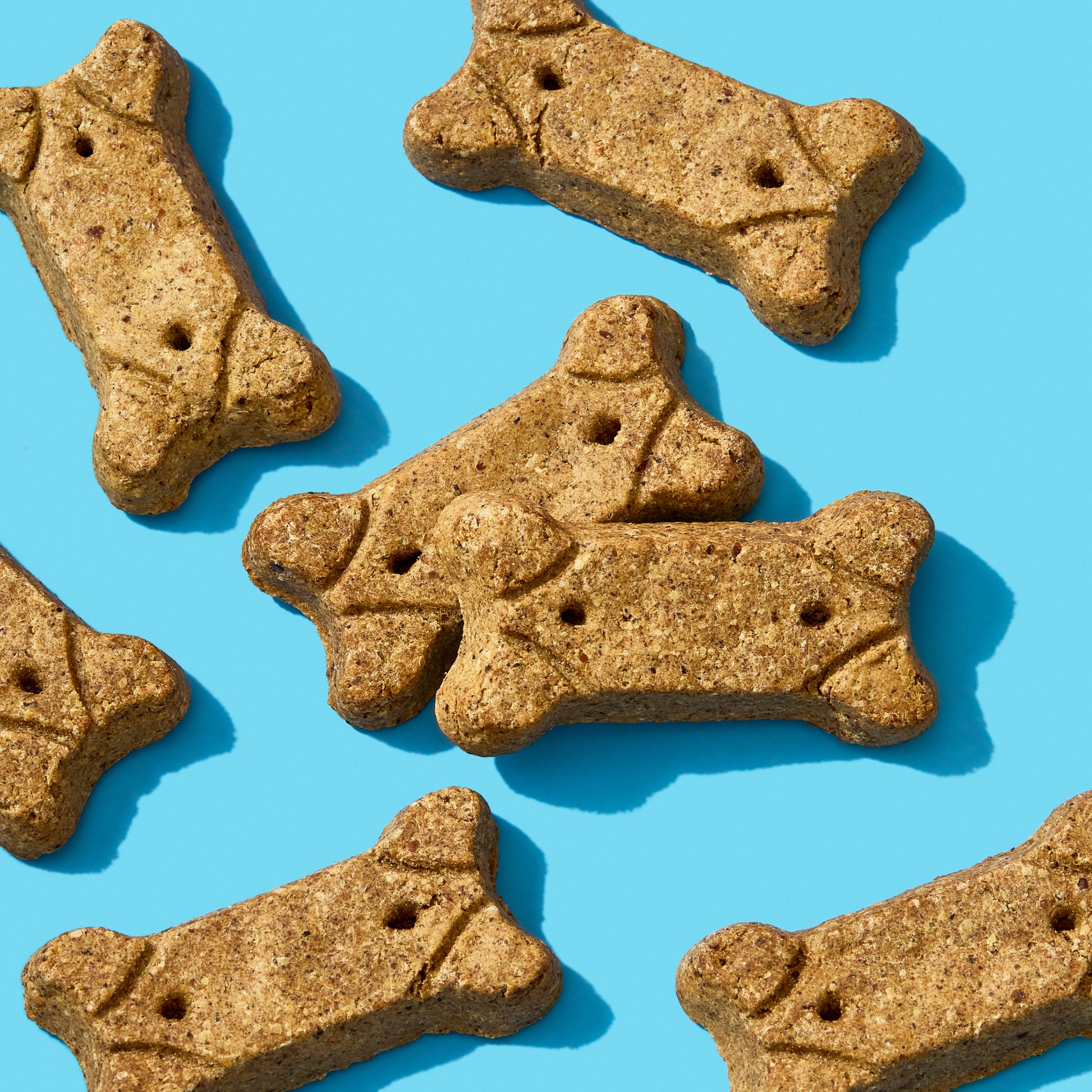 Beef Brutus Bone Broth Biscuits laying on a blue background