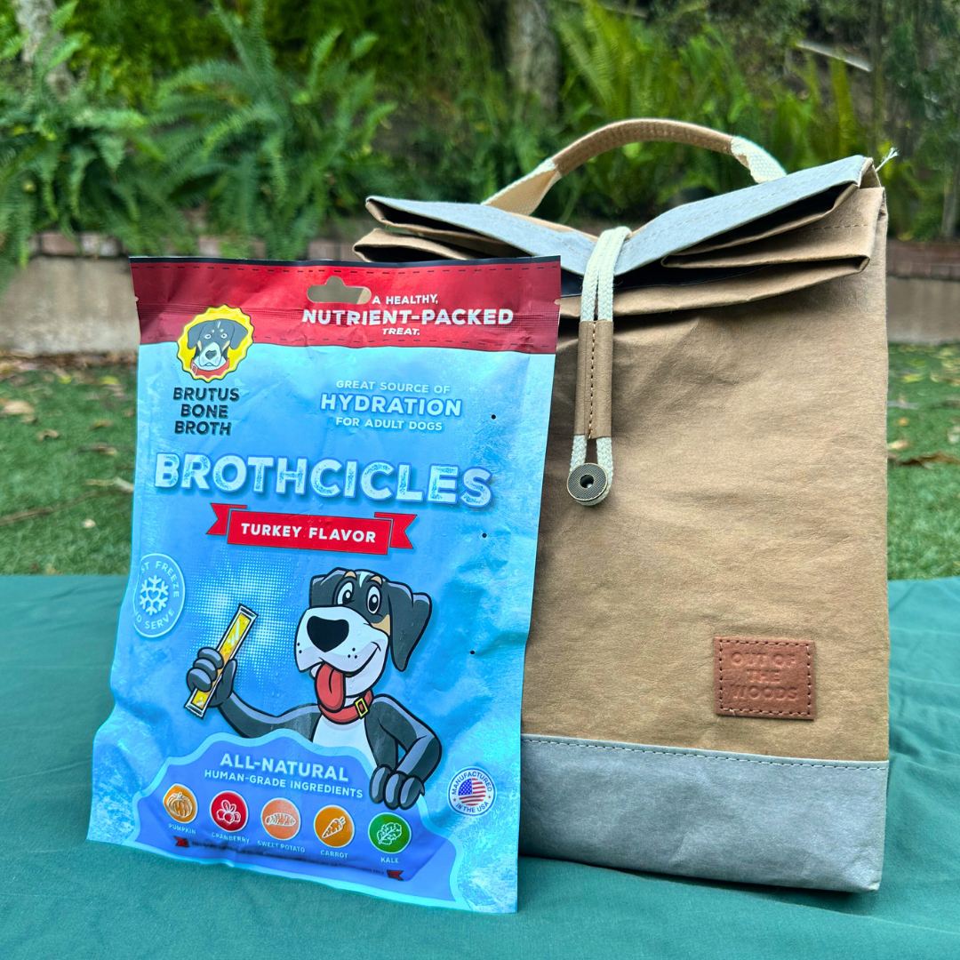 Brutus Brothcicles Pouch with Hedgehog Lunch Cooler