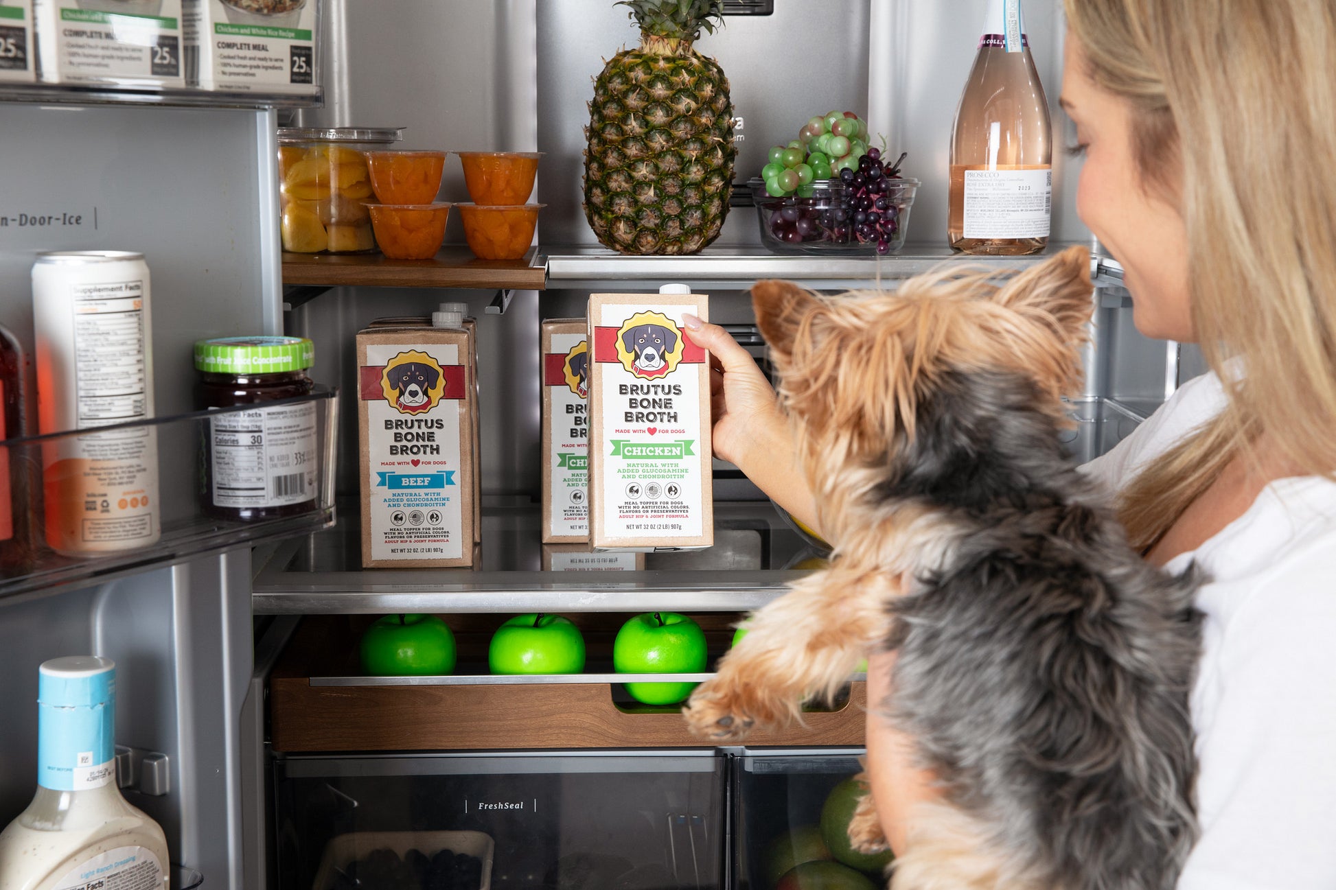 A human holds Brutus Bone Broth Chicken formula while holding a small dog