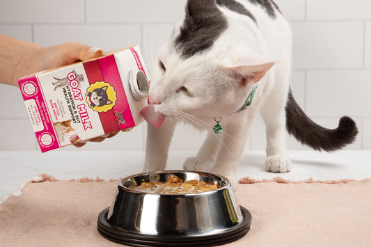 Goat Milk for Cats by Brutus Broth