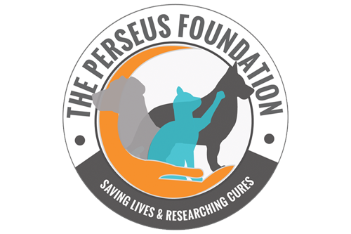 The Perseus Foundation Logo