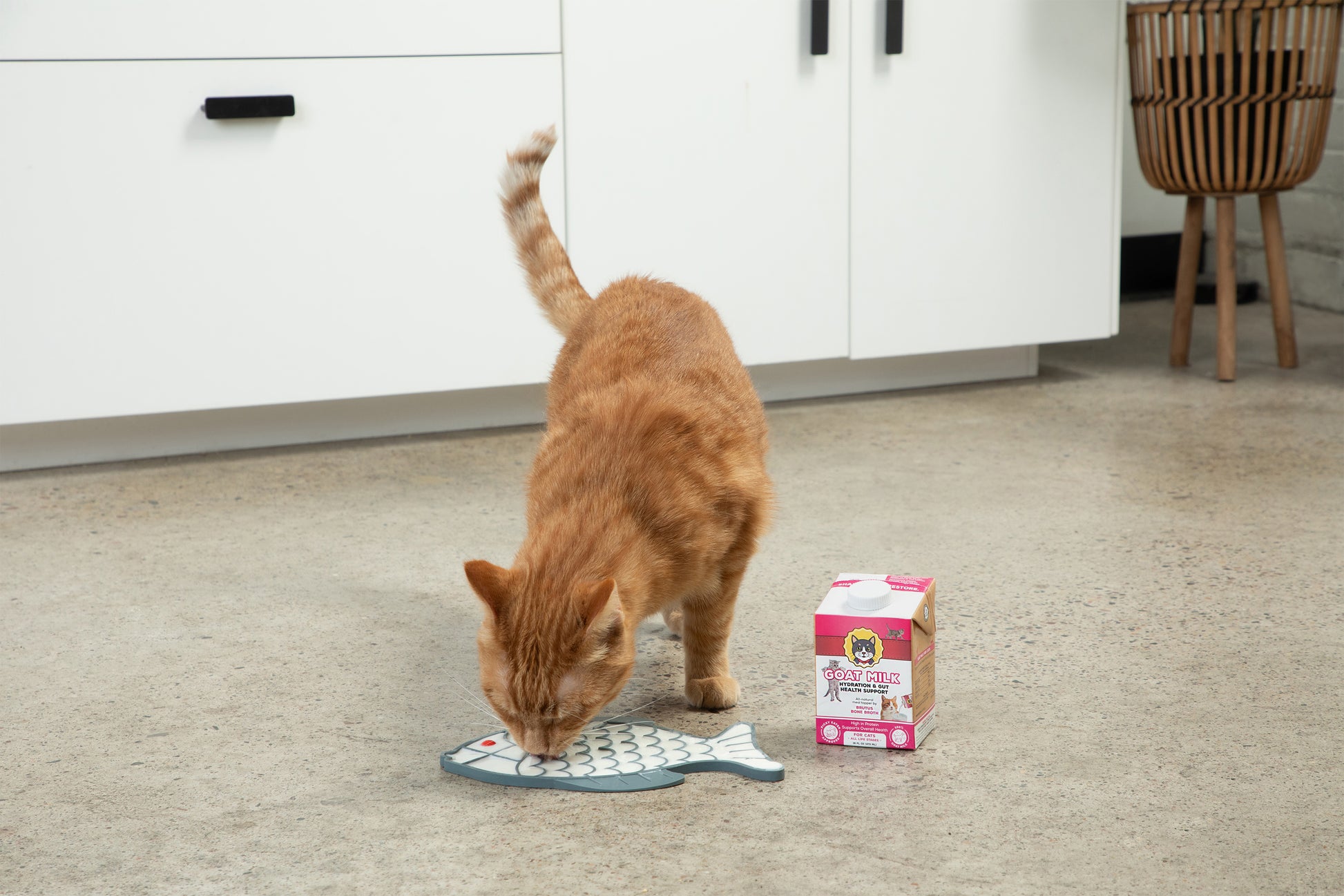 An orange tabby cat stands on a light concrete floor in a kitchen, licking a fish-shaped lick mat next to a small pink and white carton of Goat Milk.
