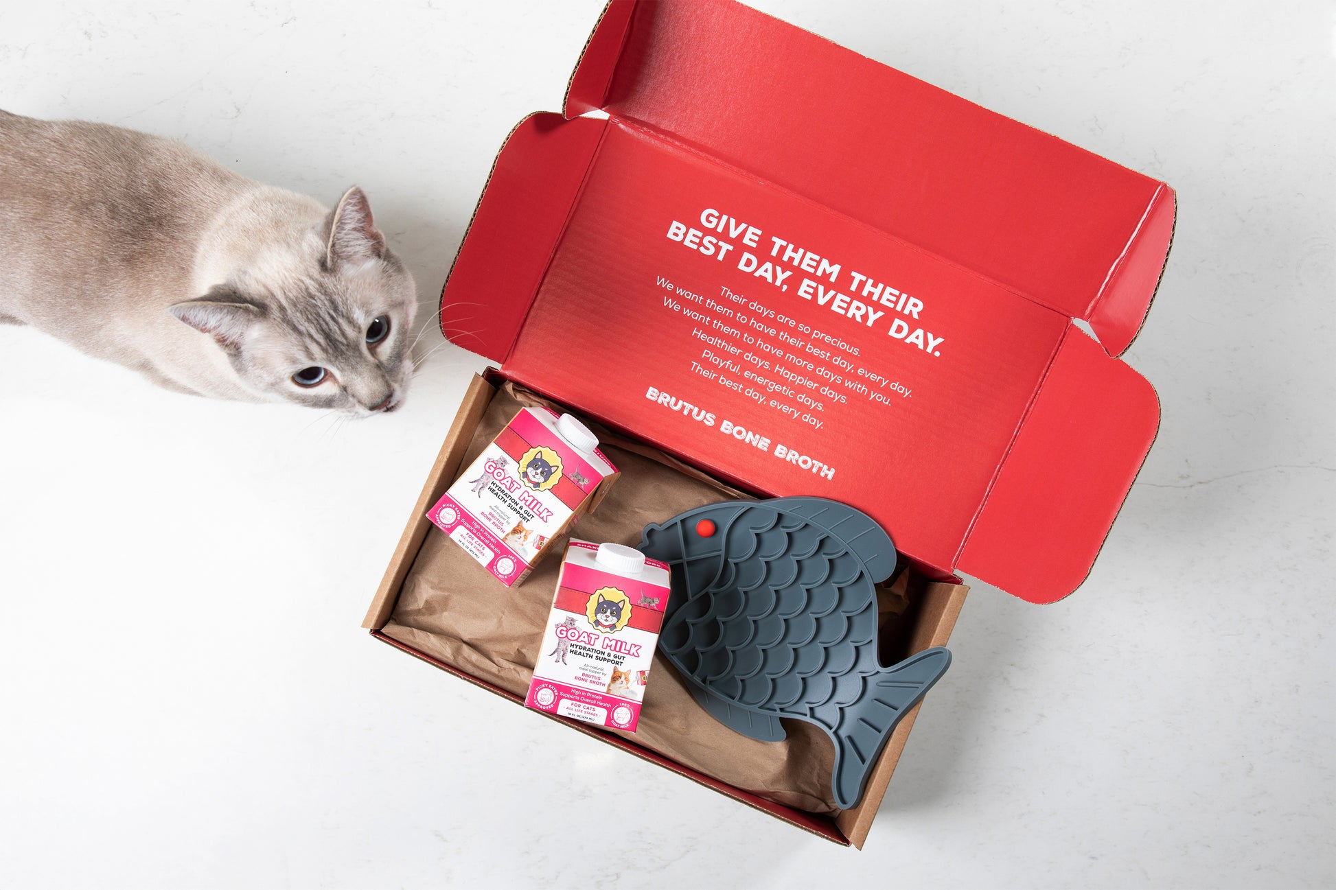 A cat sits beside an open cardboard gift box on a white surface. Inside the box is a dark gray fish-shaped lick mat, two small pink-and-white cartons of Goat Milk, and a red interior lid with white printed text.