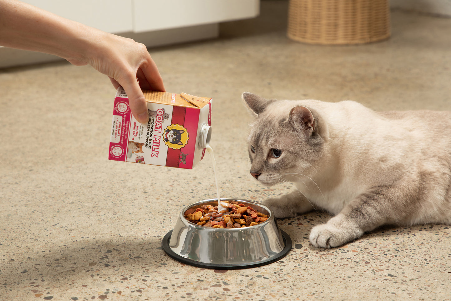 A cat sits beside a metal food bowl on a speckled floor while a human hand pours liquid from a pink and white Goat Milk carton.