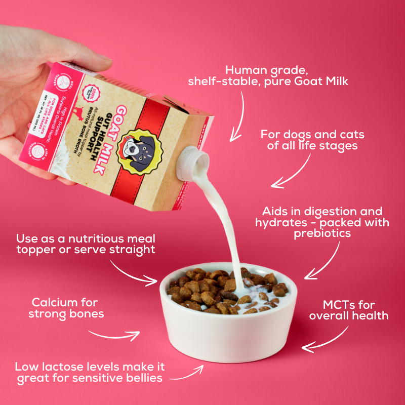 Goat milk infographic for dogs and cats showing digestion, hydration, probiotics, calcium, MCTs, low lactose, and serving uses