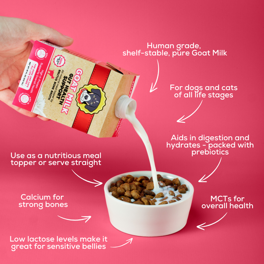 Goat milk infographic for dogs and cats showing digestion, hydration, probiotics, calcium, MCTs, low lactose, and serving uses
