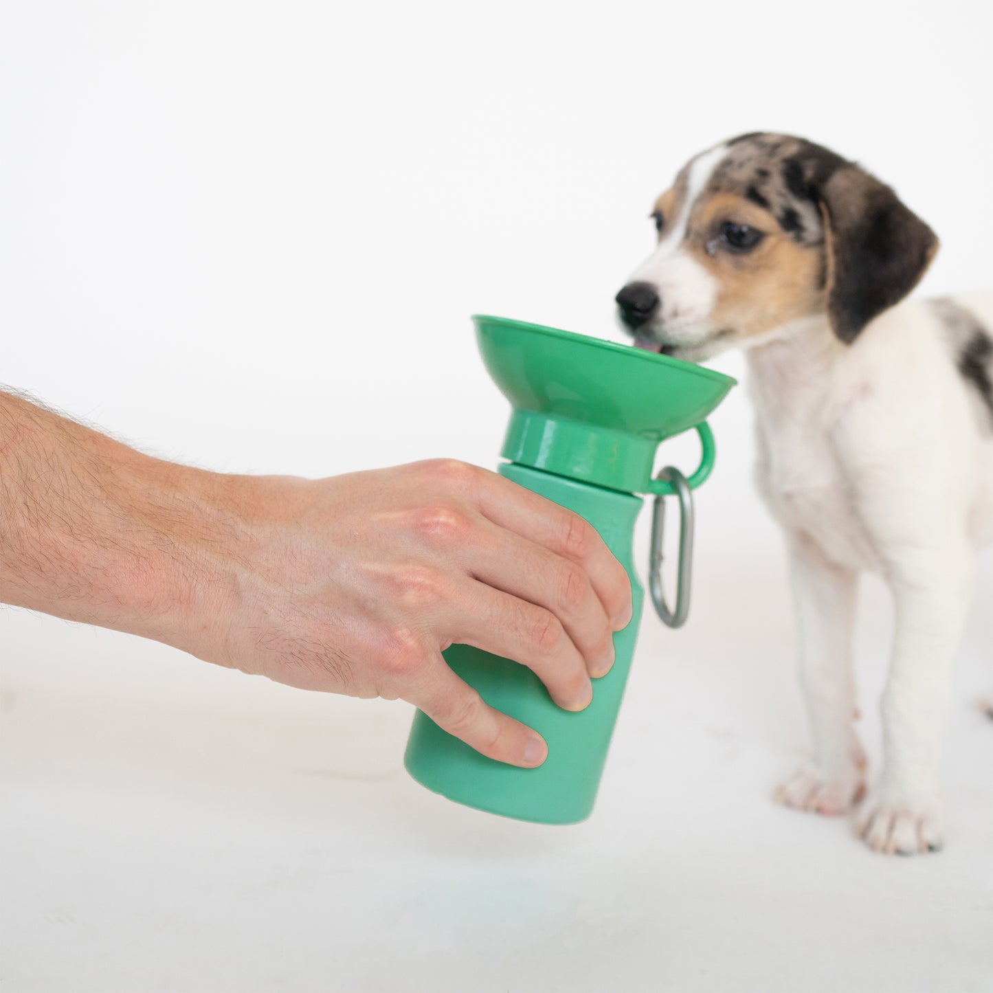 Hand holding green Springer water bottle for puppy drinking out of it