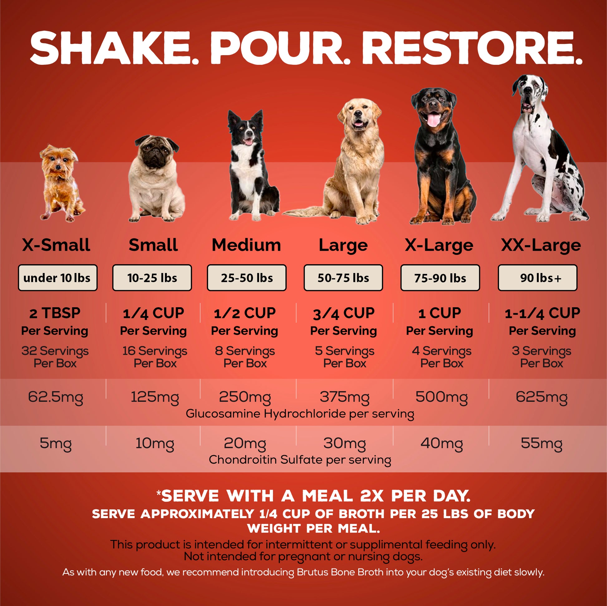 How Much Dog Food: Ultimate Guide to Perfect Portions