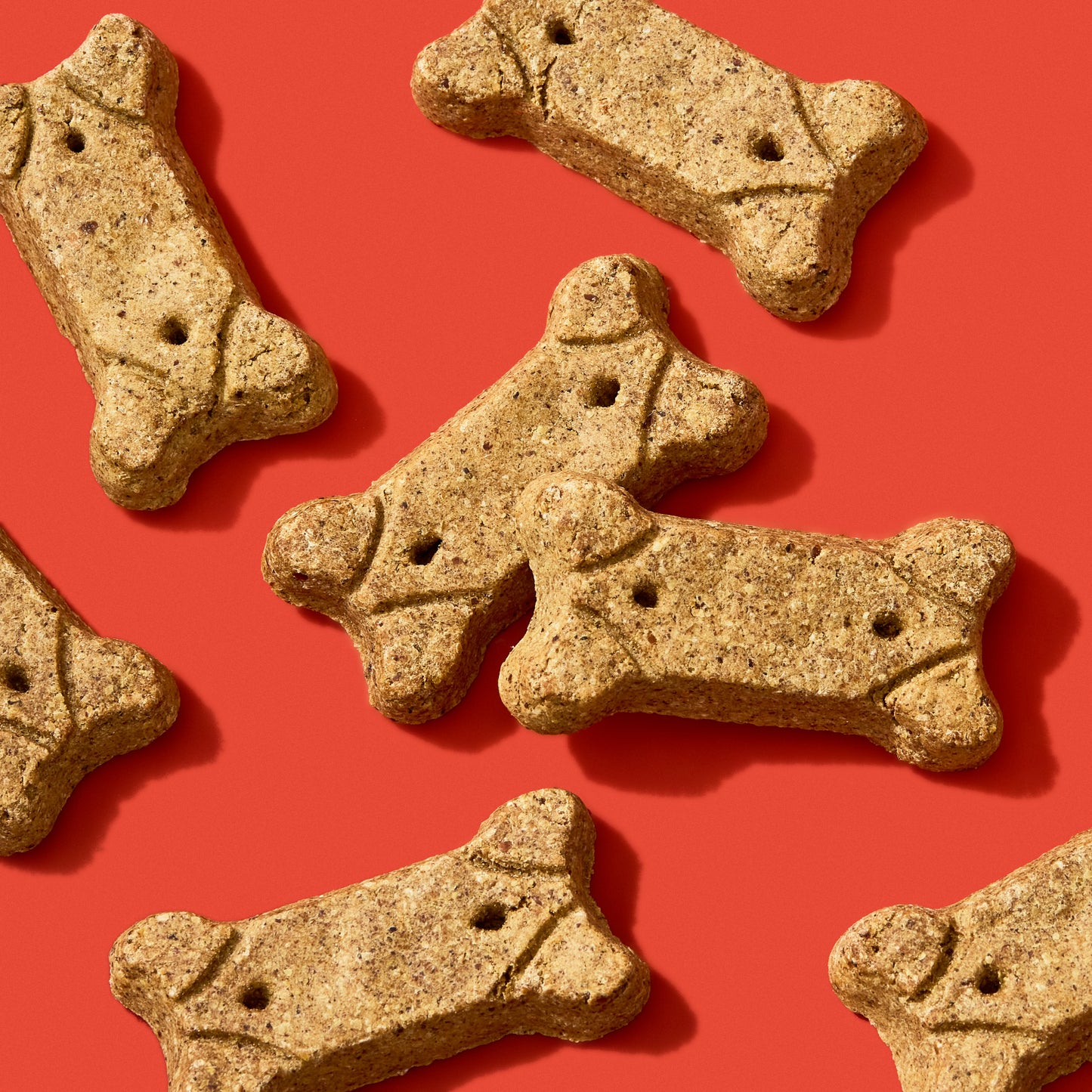 Pork & Apple Brutus Bone Broth Biscuits laying on a blue background