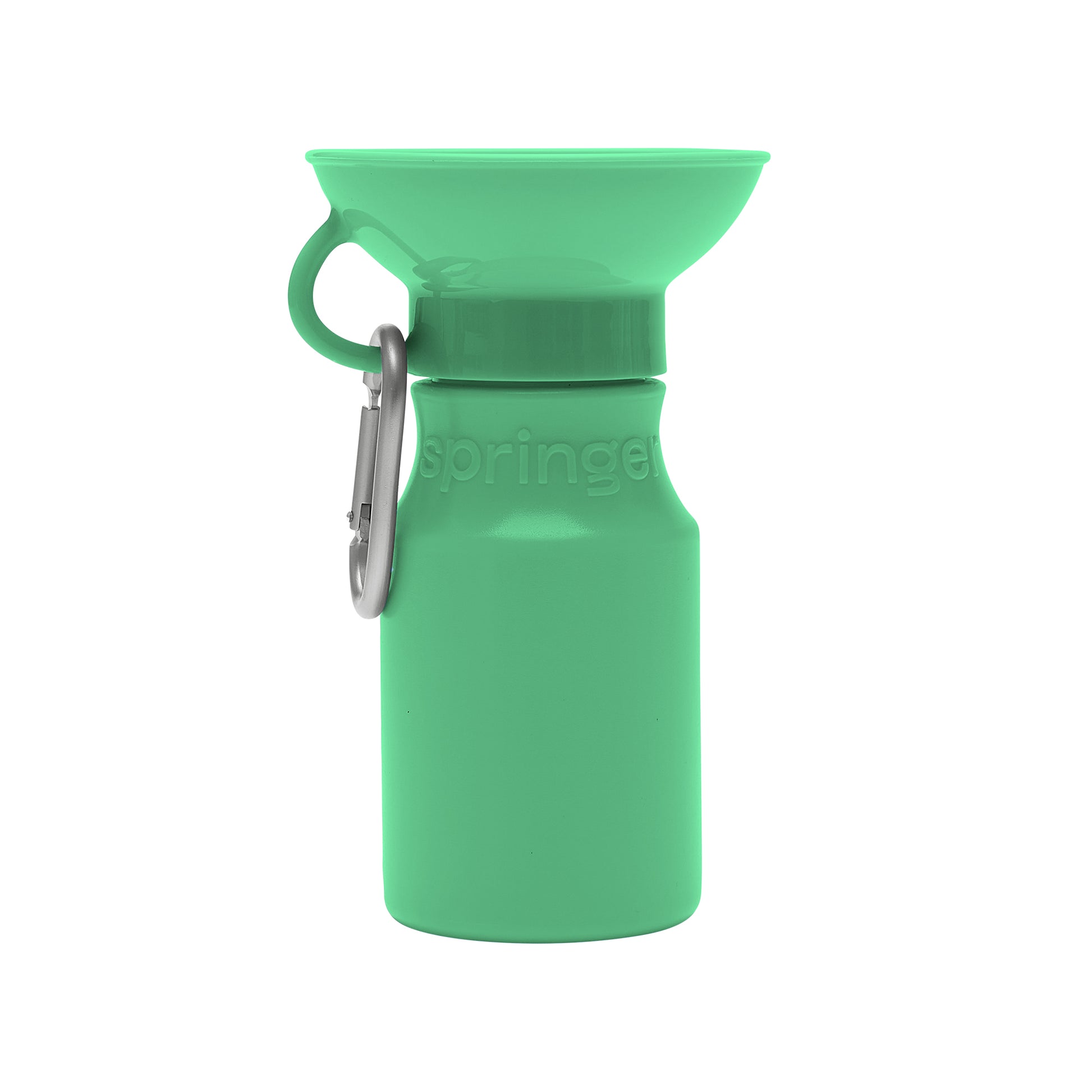 Springer green water bottle