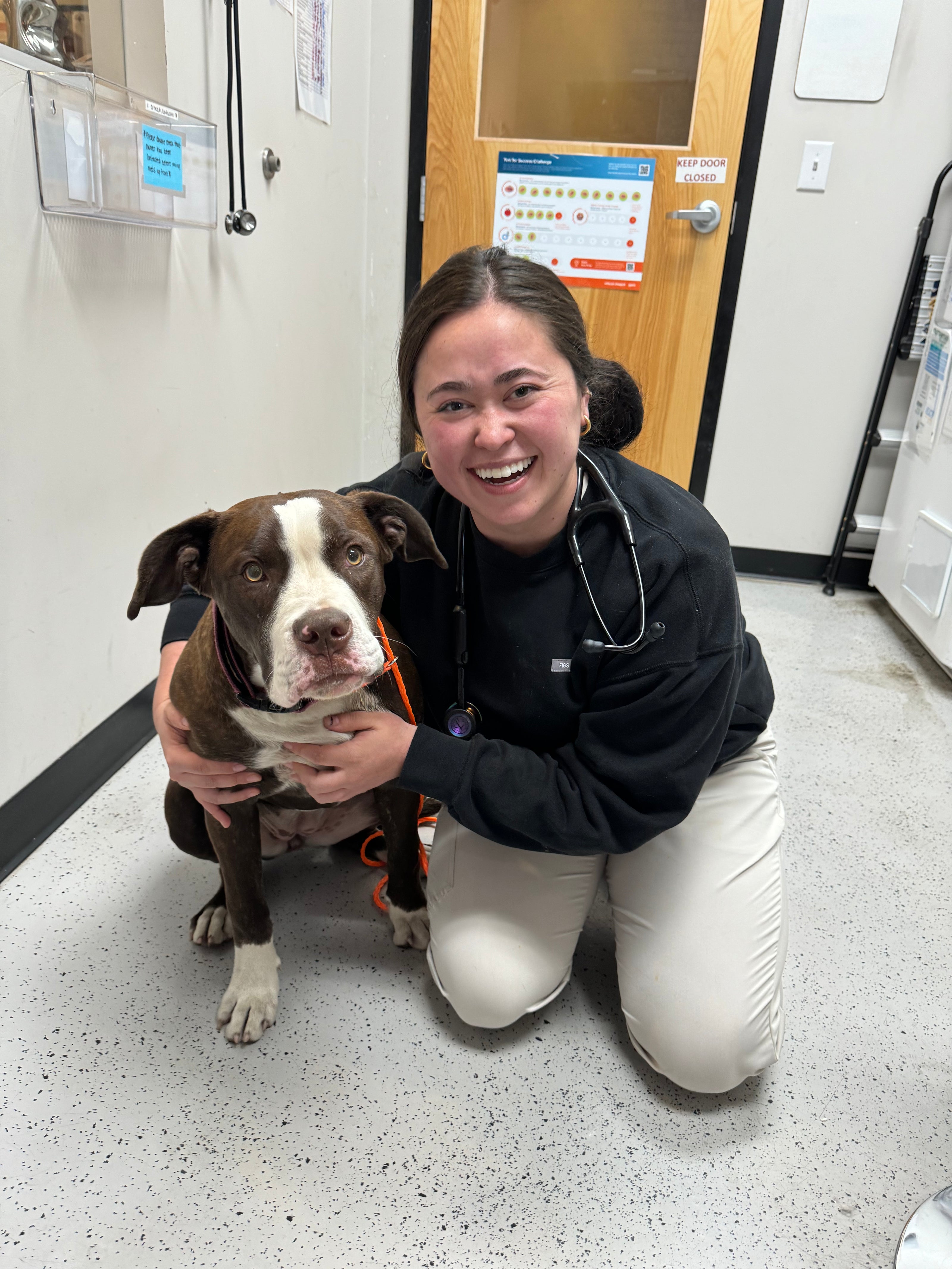 Dr. Kristi Crow Veterinarian crouched with arms around a brown and white dog