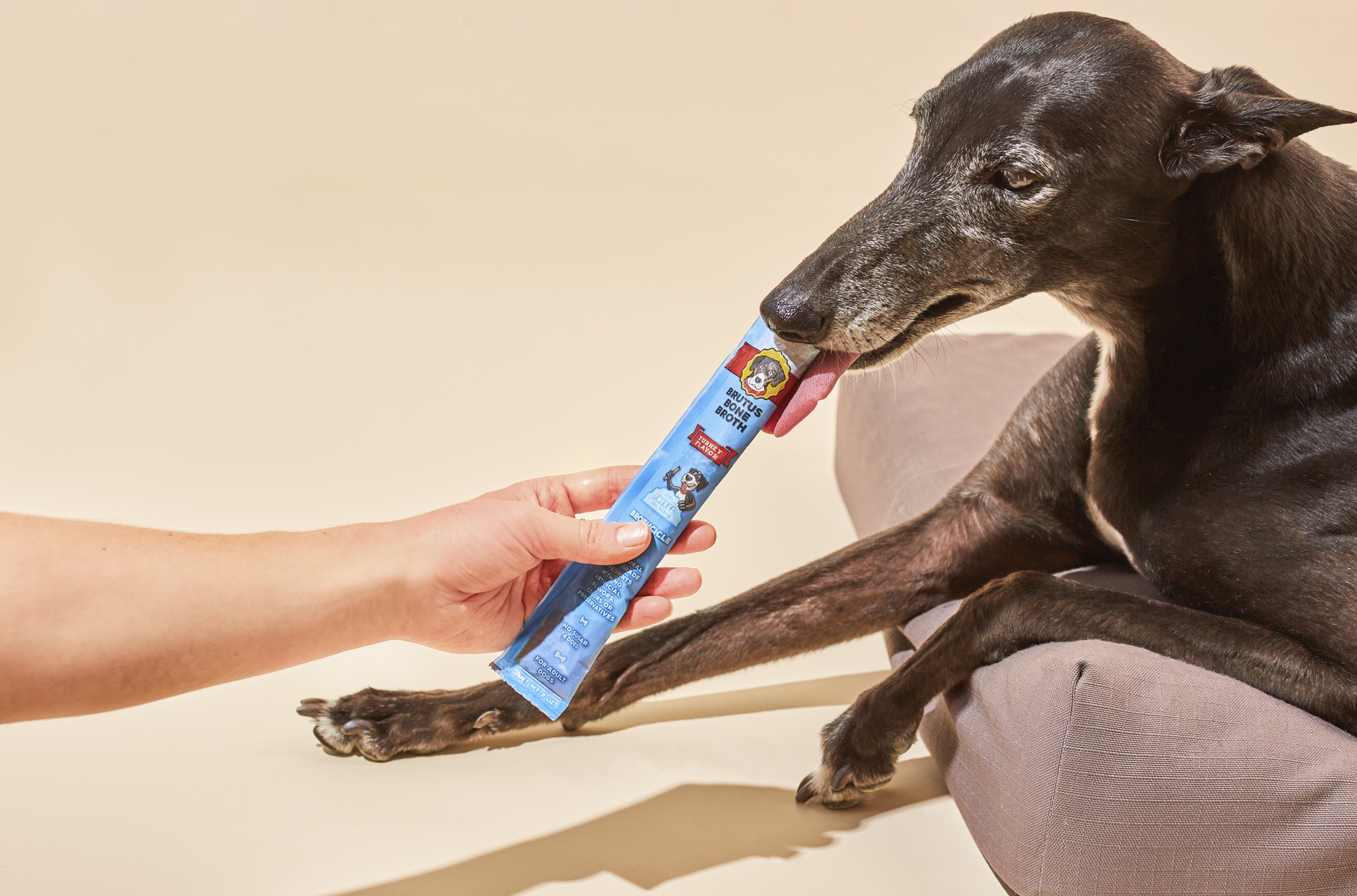 Brown dog licking a Brutus Bone Broth Brothcicle