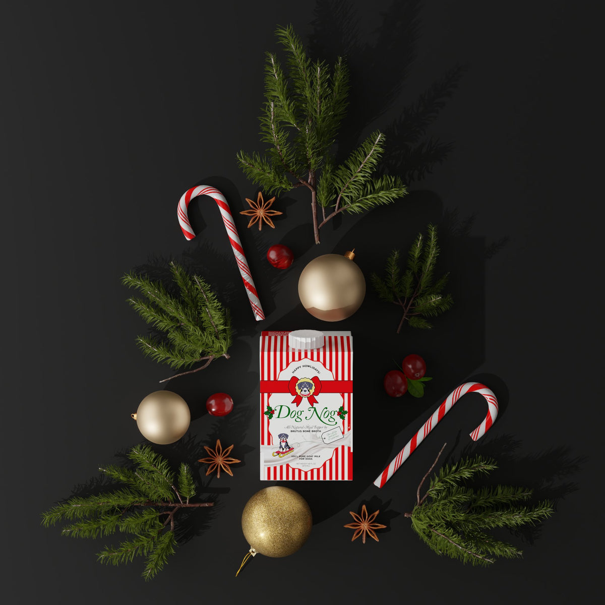 Dog Nog carton with pine, candy canes and ornaments on a dark background