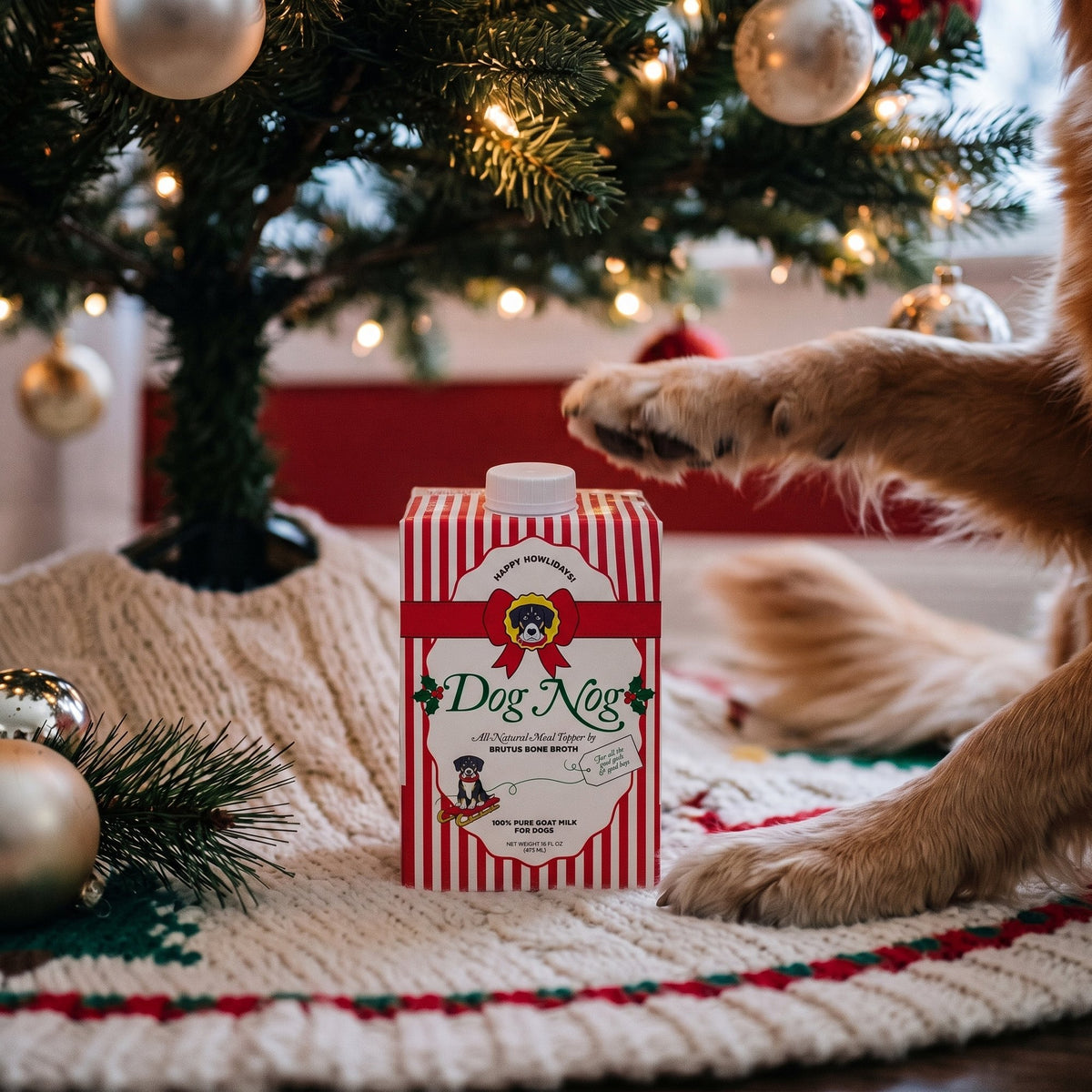 Dog Nog carton under the Christmas tree with a golden retriever paw reaching for it