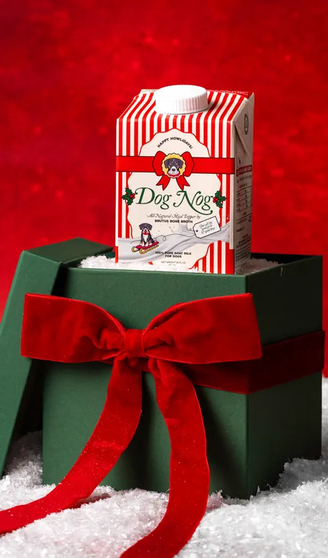Dog Nog carton in a gift box