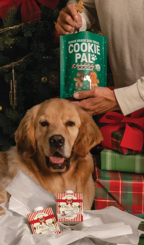 Golden retriever with the Howliday Duo