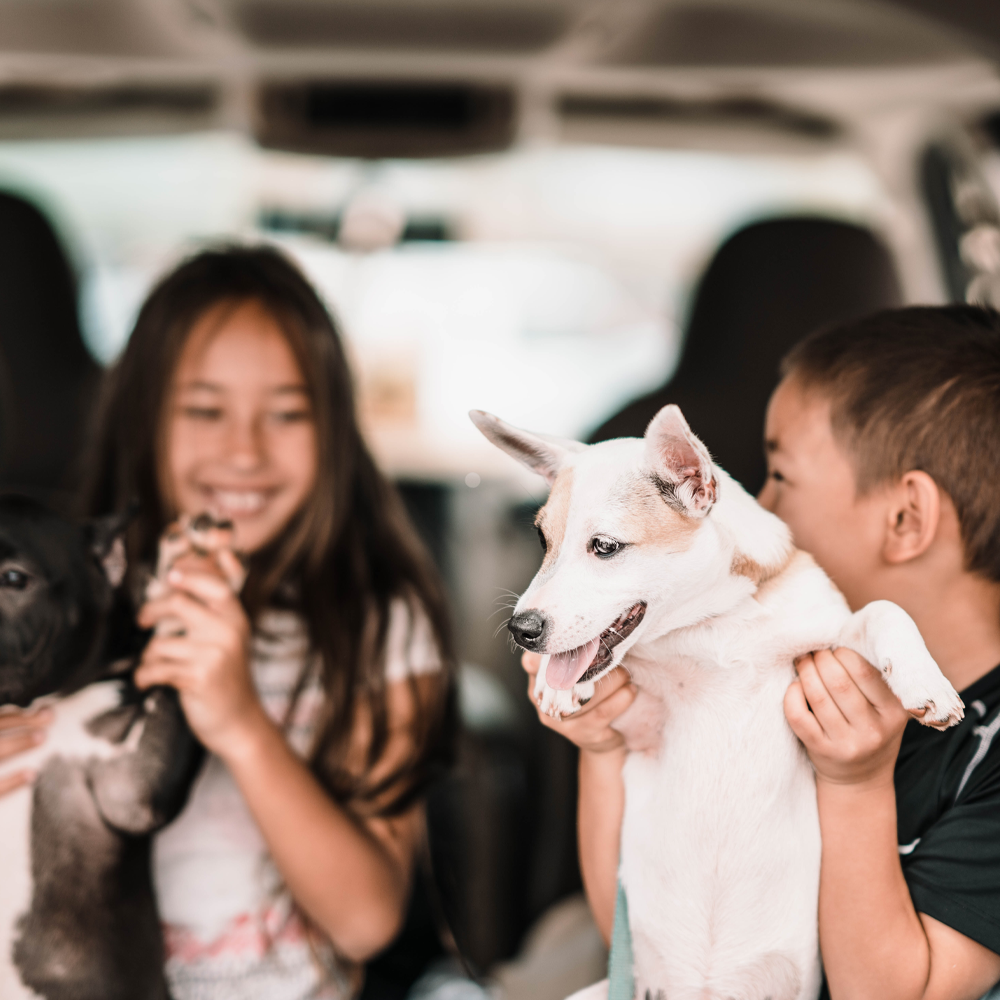 Two kids holding small dogs on their laps