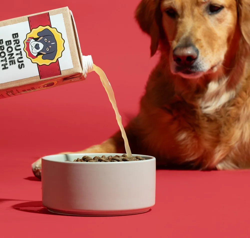 Brutus Bone Broth being poured into a bowl next to a golden retriever