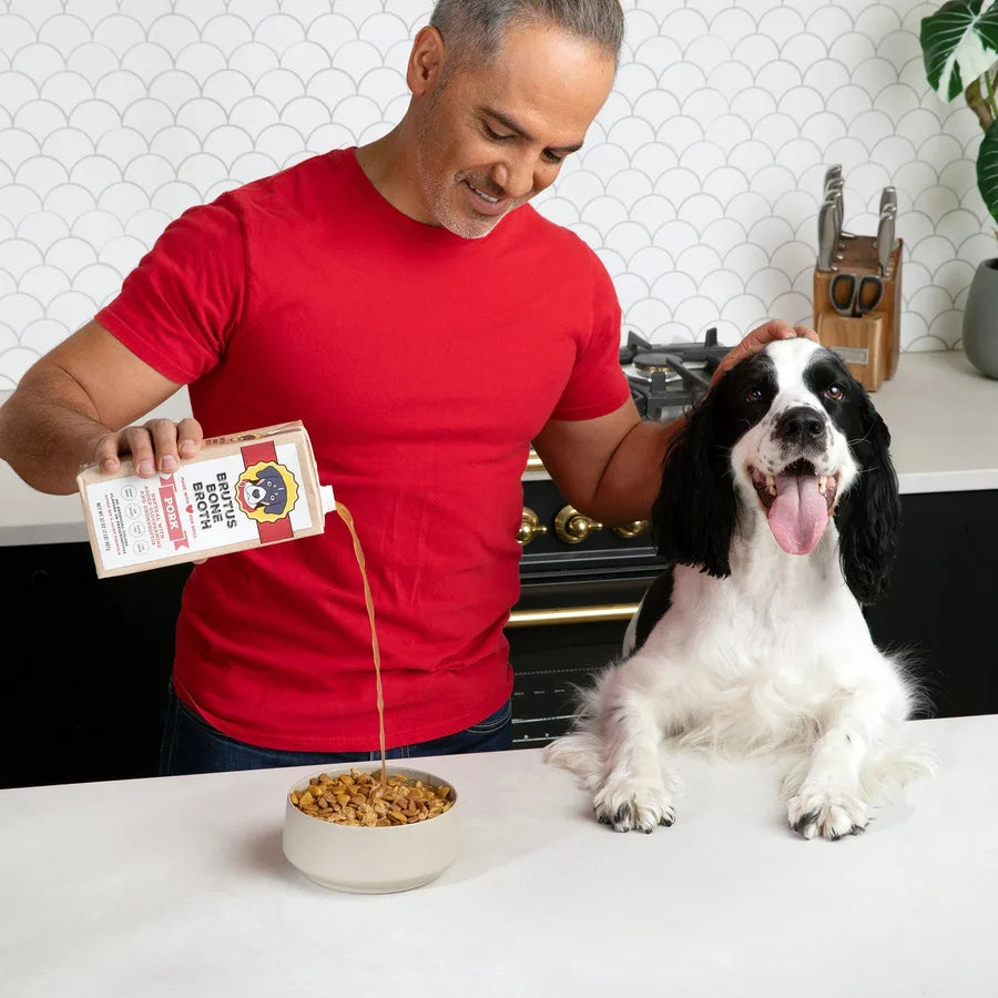 Pouring Brutus Bone Broth over kibble for an excited spaniel