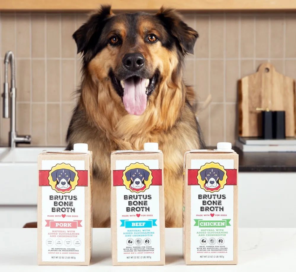 Shepherd dog behind three cartons of Brutus Bone Broth on a kitchen counter