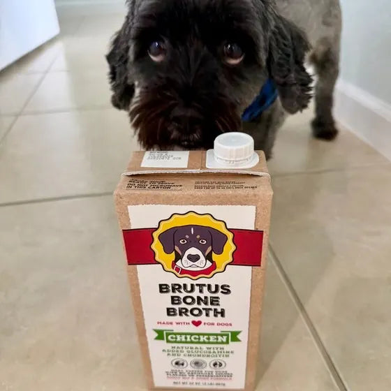 Theodore with a Brutus carton