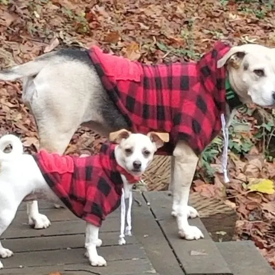 Clover and Bean