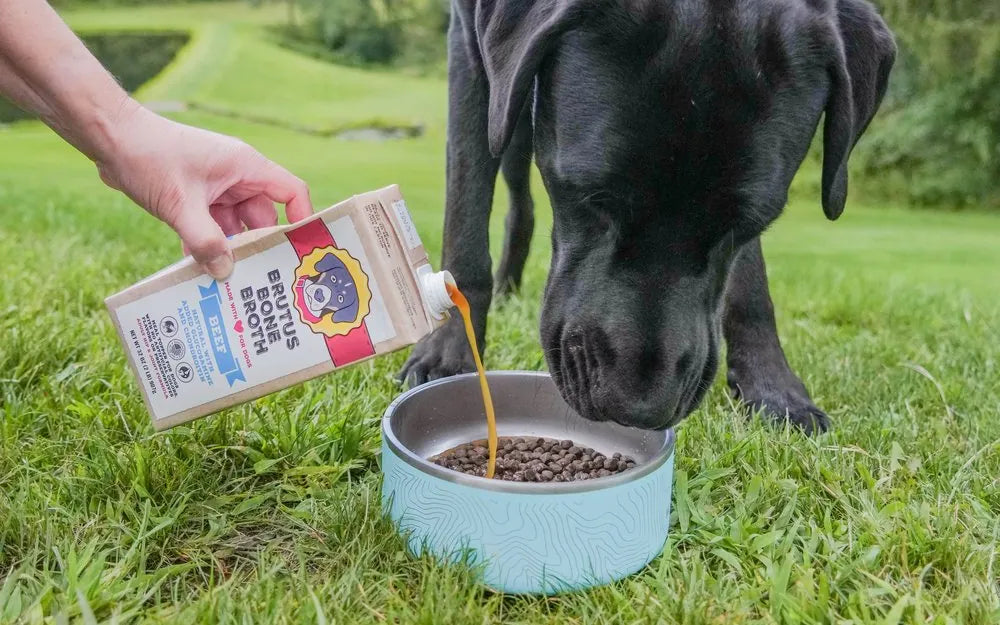 Pouring Brutus Bone Broth into a bowl for a black lab on the grass