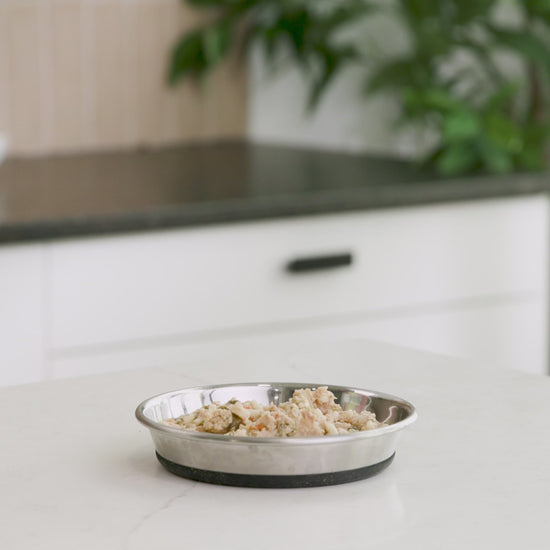 A human pours Brutus Bone Broth Skin and Coat Vegetable Mini into a bowl of kibbel.