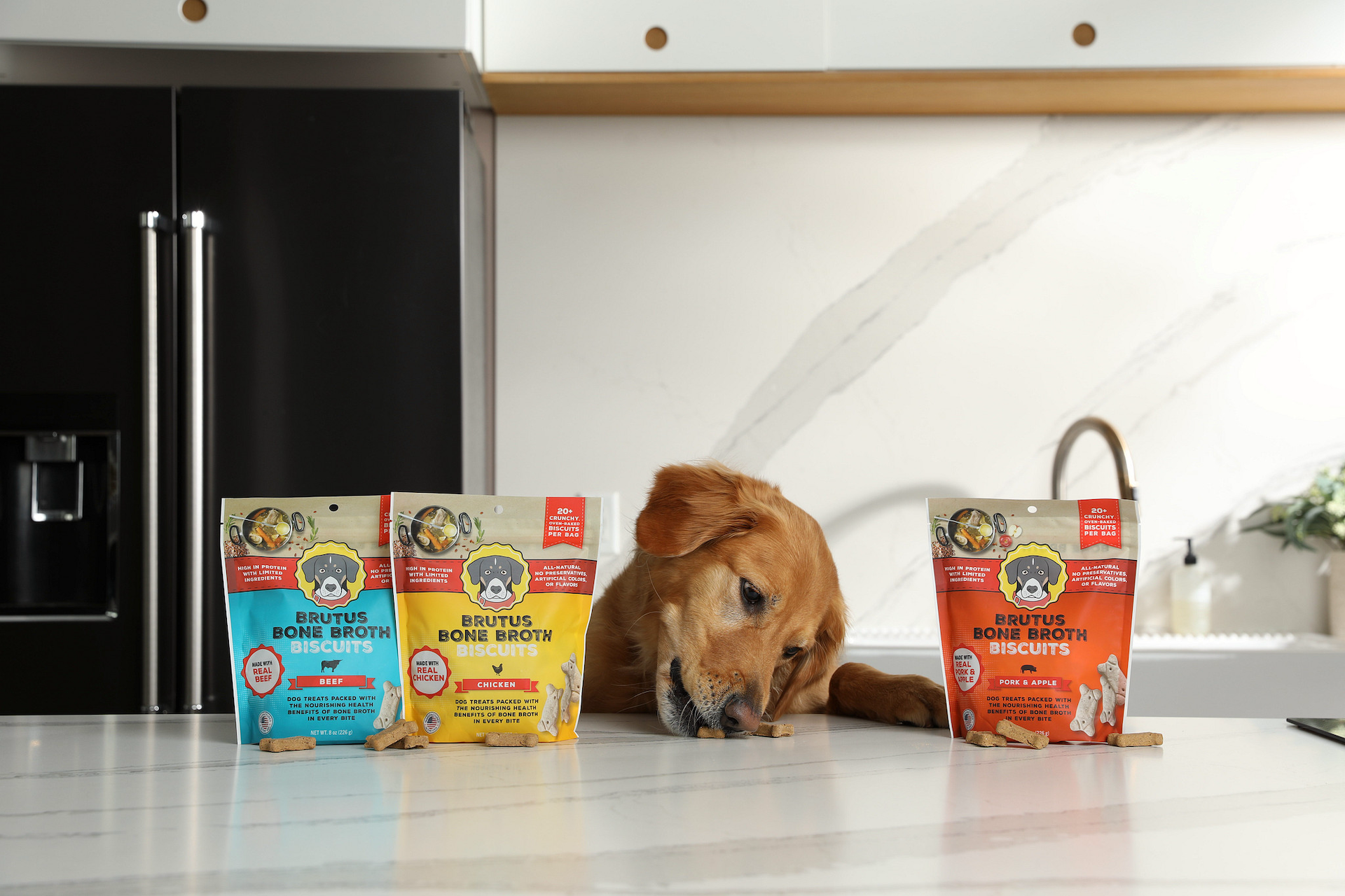 A Golden Retriever dog is eating Brutus Bone Broth Biscuits dog treats