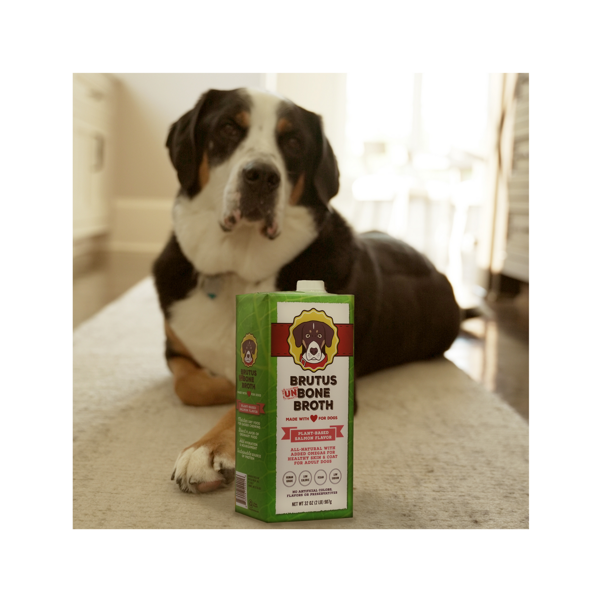 Brutus Broth for Dogs Vegetable Broth Salmon Flavor Dog Food